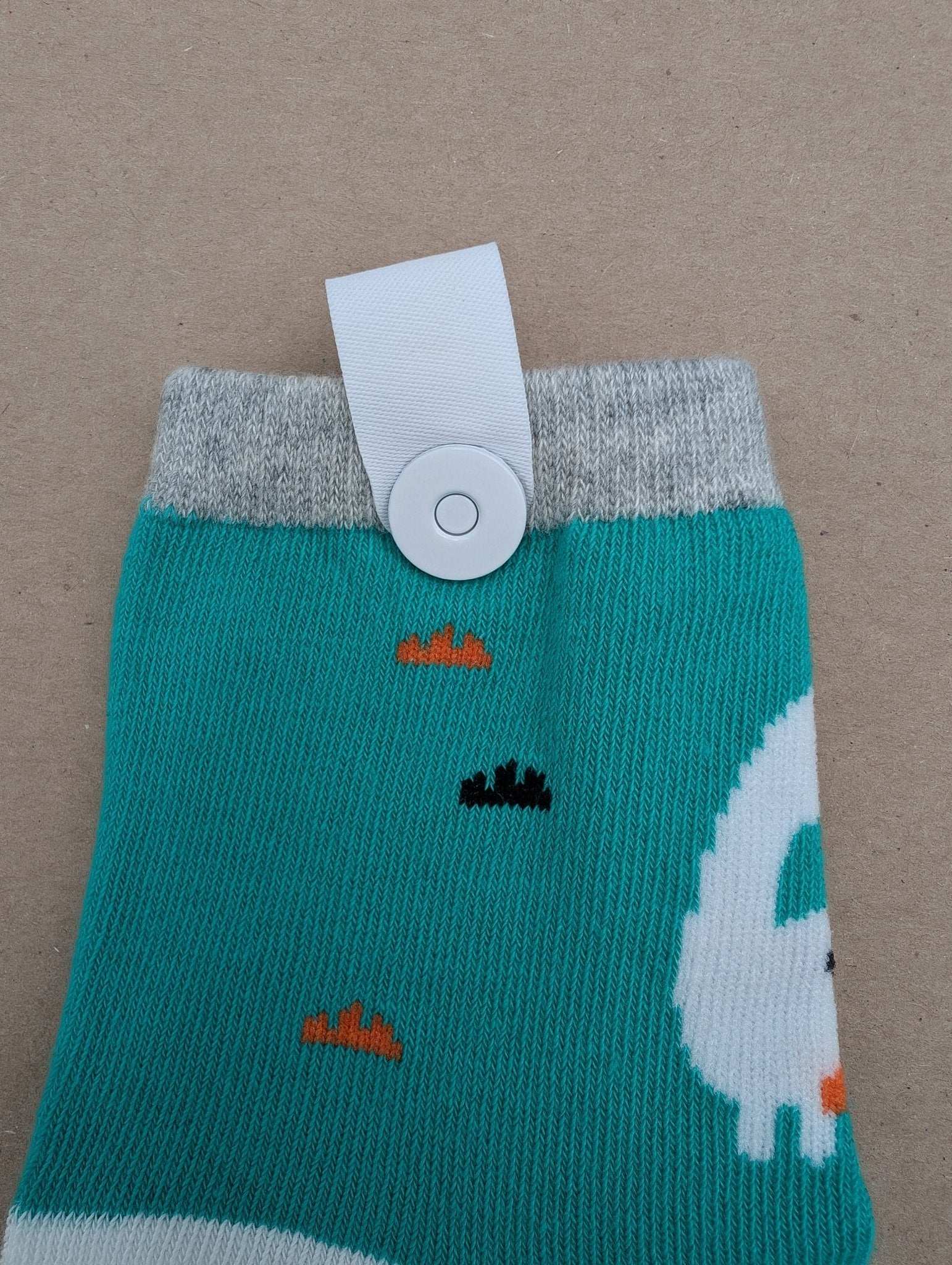 Benja Teal Dino Kids Socks - Le Loxx