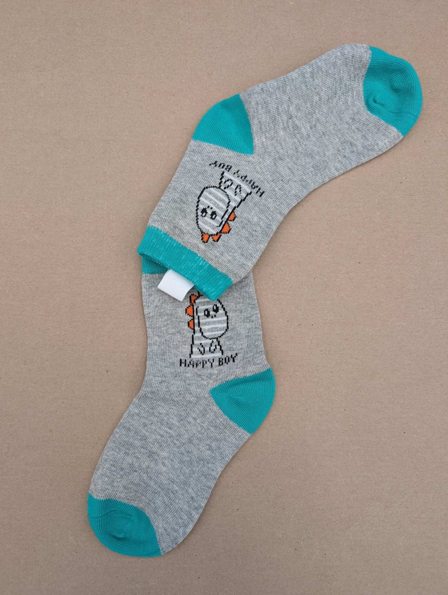 Benja Grey Dino Kids Socks - Le Loxx