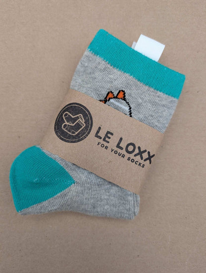 Benja Grey Dino Kids Socks - Le Loxx