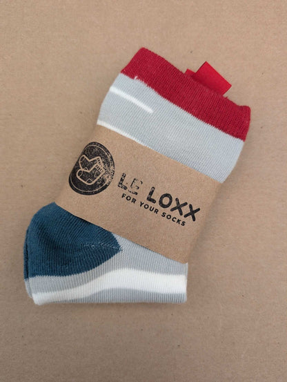 Benja Grey Car Kids Socks - Le Loxx